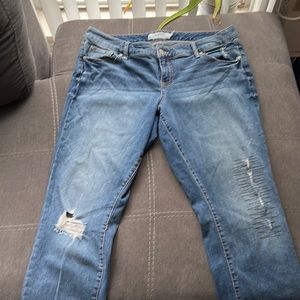 Torrid Distressed jeans size 16